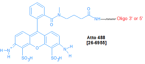 picture of Atto 488